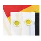 CMYK Printing Polyester Saxony Anhalt Flag Fade Resistant