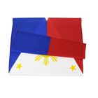 Philipone 100% Polyester Material Asia Custom Country Flags 9x15m